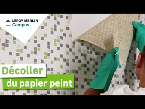 Comment Décoller Du Papier Peint Leroy Merlin