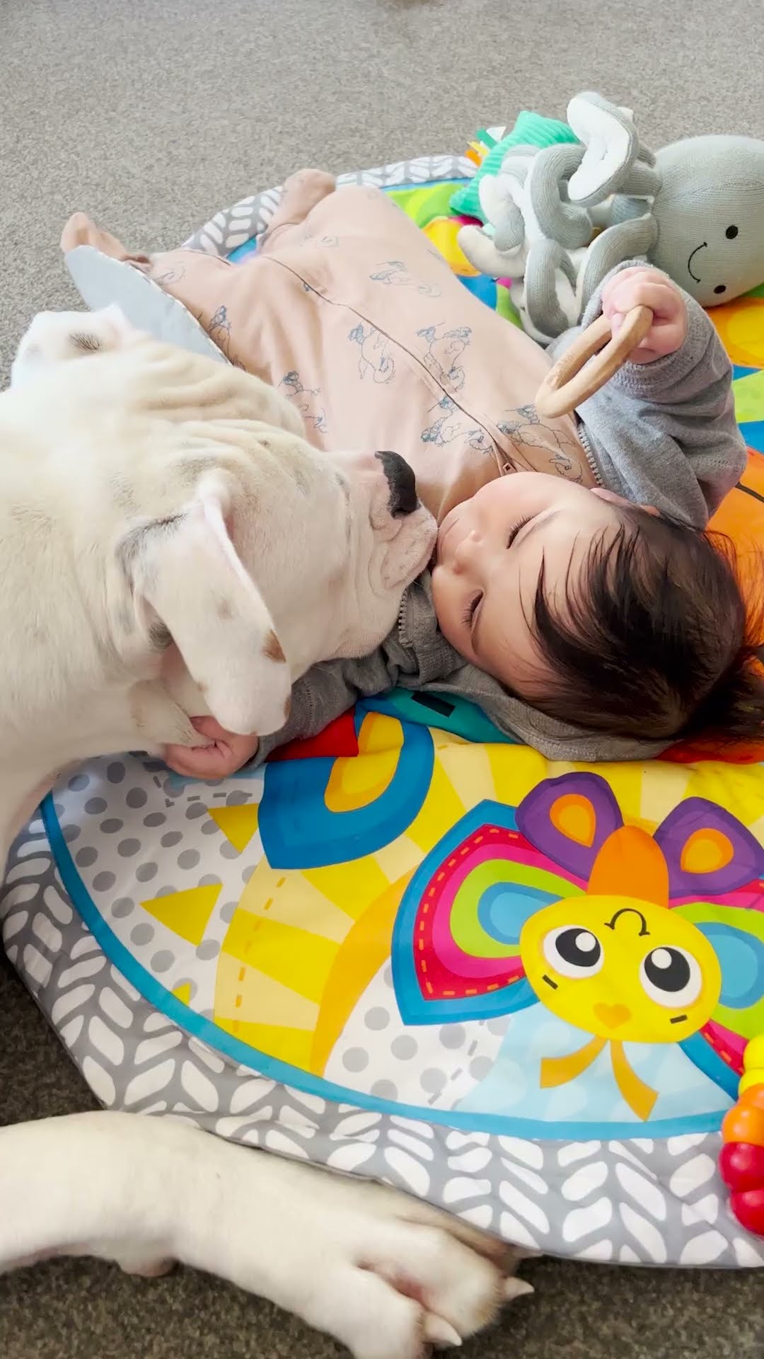 People Told Mom Not To Let Pittie Near Her Baby | The Dodo