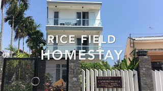 Rice Field Homestay, Hoi An, Vietnam