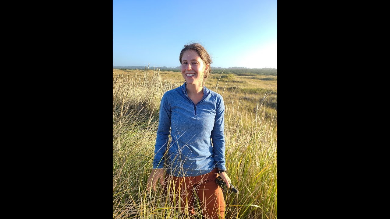 Research insights into hybrid beachgrass ecology with help from citizen science with Risa Askerooth
