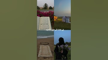 سورة الحاقة، القارئ احمد النفيس( فأما من أوتي كتابه بيمينه)💚#shortvideo #قرآن #اكسبلور #اسلام ،