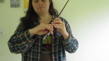 Beginner Series #0D Bow Hold and Playing on the Strings - Free Fiddle Lesson