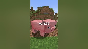 What Is The Creeper In Minecraft?
