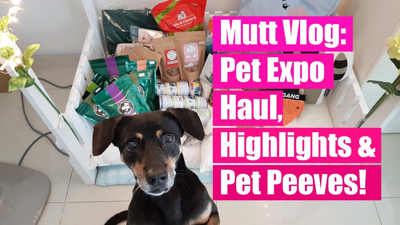 Pet Expo Singapore 2017 YouTube