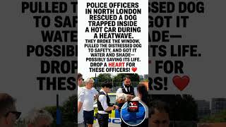 Police Smash Car Window to Save Dog Trapped in Heatwave! 🐶❤️🚔#shorts #youtubeshorts