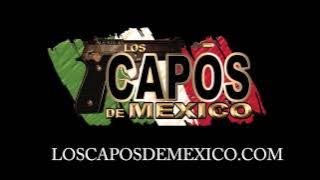 Los Capos De Mexico - El Arremangado