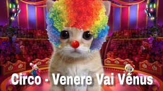ꜥ 🎪﹒Circo — Venere Vai Vênus (Letra completa LYRYCS) ~