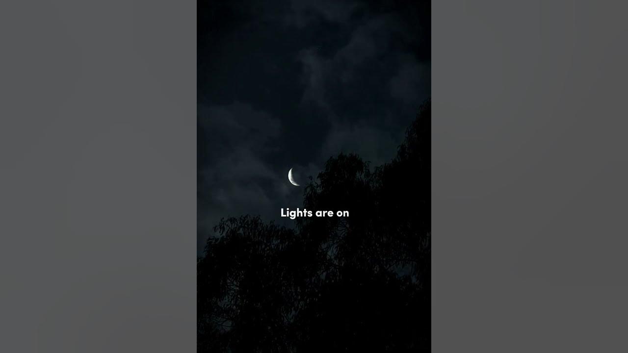 Lights are on but nobody's home Lights are on Tom Rosenthal (tiktok