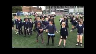The Haka comes early to BT Murrayfield