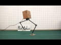 NABiRoS: Non Anthropomorphic Bipedal Robotic System