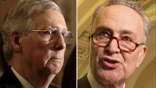 JUST IN: Schumer SHREDS McConnell for blocking vote on $2000 checks