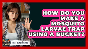 How Do You Make A Mosquito Larvae Trap Using A Bucket? - Insects and Invaders