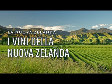 Video: Regioni vinicole della Nuova Zelanda