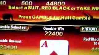 Double Up Win On A Poker Machine screenshot 5