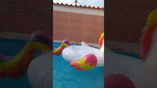 Naj Ferreira Live Na Piscina