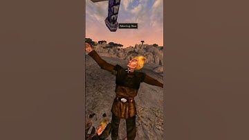 Killing the adoring fan in Morrowind every day until Skywind and Skyblivion are released Day - 819