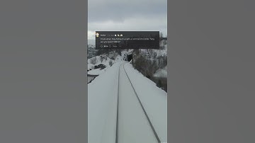 No More Silence: Learn How to Respond to 