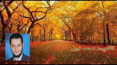 ما تيسر من سورة النحل للقارئ محمد نبيل