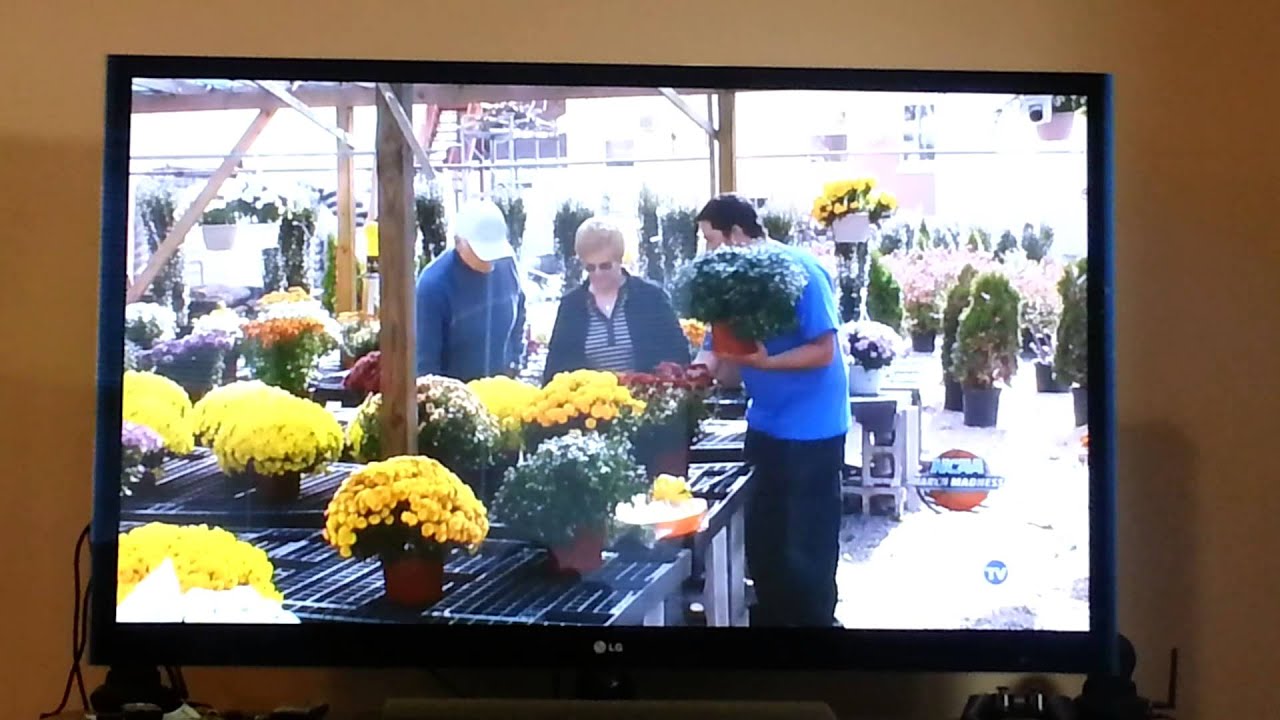 One of Sal's best act in the Impractical jokers flower shop season 1 episode 12 YouTube
