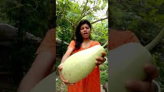 Download Lagu Sadher lau banailo more boiragi🥰🥰 #ytshorts #tutulmaity MP3