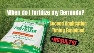 When to put down a SECOND FERTILIZER APPLICATION for a Bermuda Lawn? Results and timing explained!