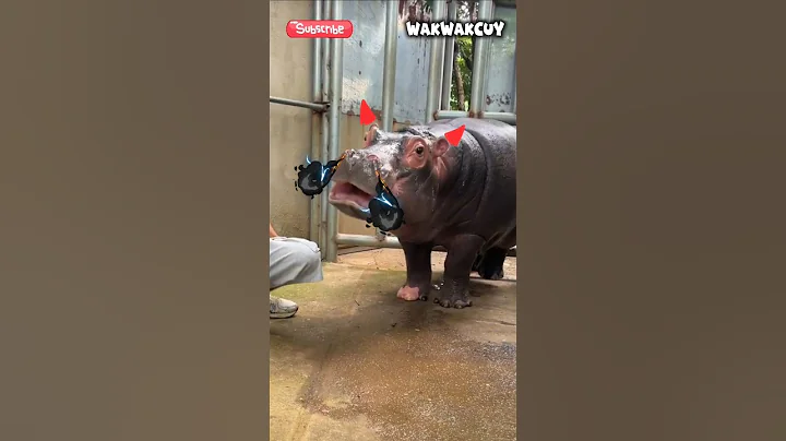 see what happens at the end of the video 🤭🤣 #funny #lol #shorts