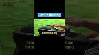 Download Lagu Noer Halimah Janur Kuning || #shorts  #rajafchannels #shortsvideo MP3