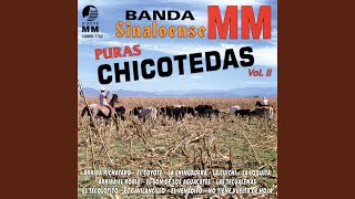 Video thumbnail of "Banda Sinaloense MM - El Son de los Aguacates"