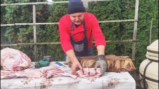 IN SEARCH OF MUSHROOMS🍄MOUFLON🐐 WE LEARN CHINESE 🏛️