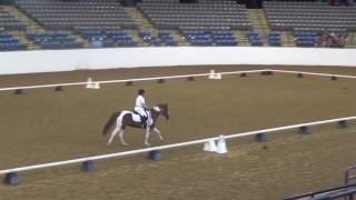 Meg MFS 07172016