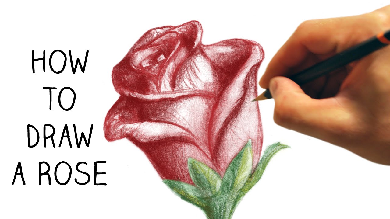 How to Draw a Rose - Step by Step - Narrated - Easy - YouTube