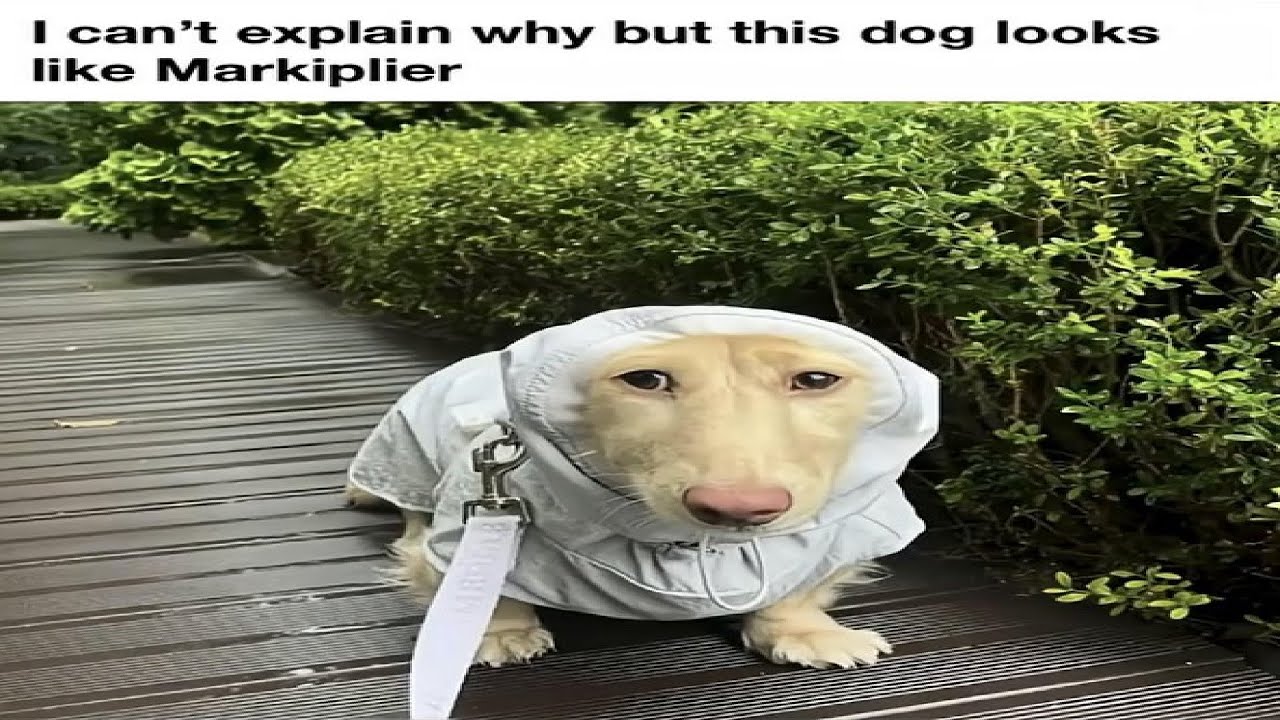 running ultrakill everyday til i can't be bothered to (day 53)