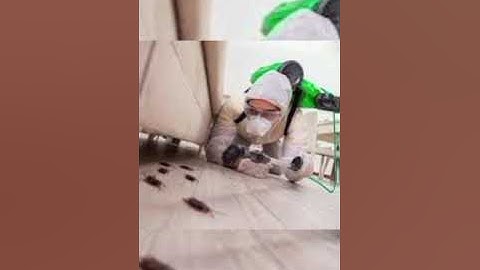 pest control  #homepestcontrol #home#business #motivation  #construction #termitecontrol