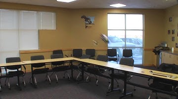 Blade MCP X BL High Performance Rc Helicopter