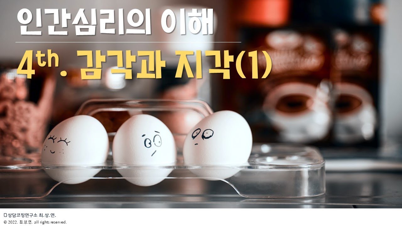 인간심리💖의 이해: 4th. 감각과 지각🤔 - 감각 기관 그리고 마음(1) 지각심리학, 착시 - YouTube