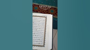 #القرآن_الكريم#quran#قران_كريم🤍💮#هزاع_البلوشي#سورة_الحجر#راحة_نفسية #حالات_واتس#قورئان#قرآن#islam