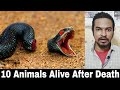 Top 10 Animals That Can Live After Death | Tamil | Madan Gowri | MG