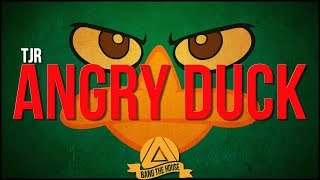 TJR - Angry Duck (Original Mix) chords