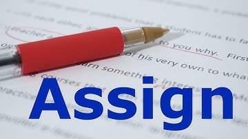 Assign meaning in Urdu with example sentences and translation in Hindi