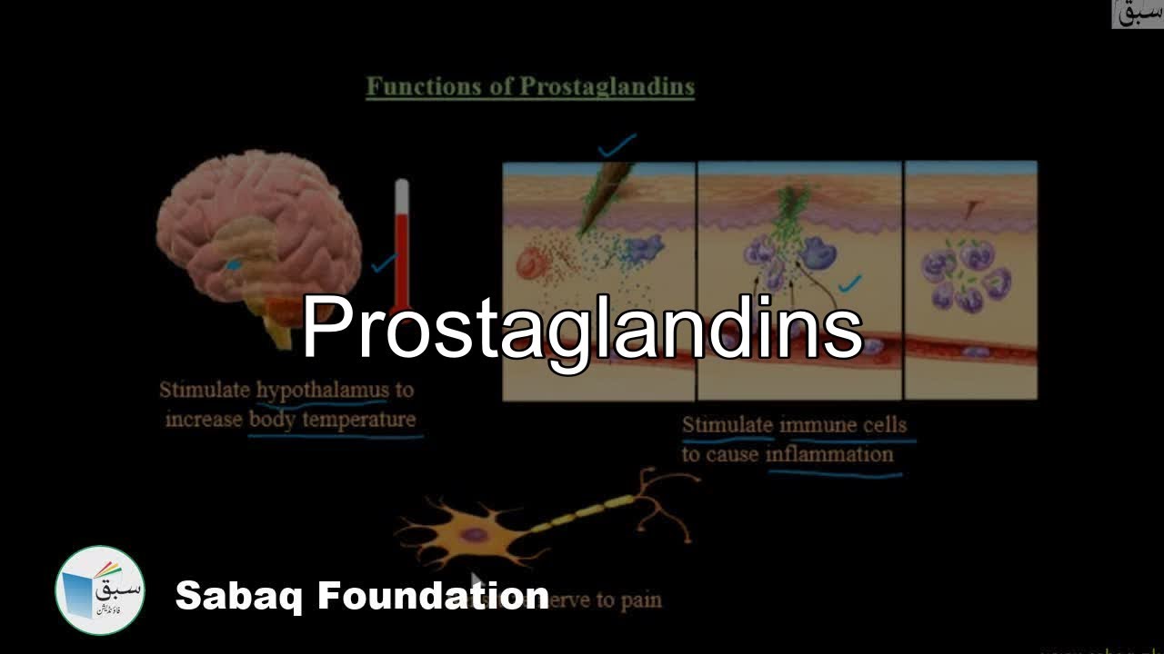 Prostaglandins, Biology Lecture | Sabaq.pk