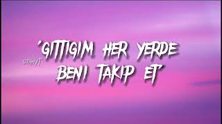 Lily- Alan Walker Türkçe Çeviri