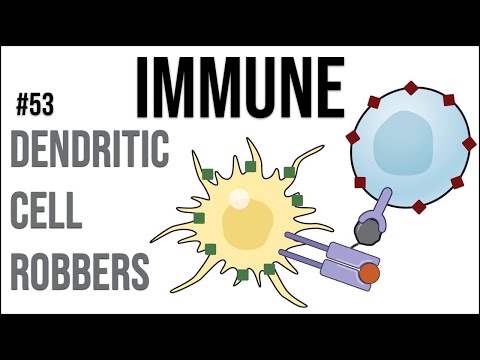 Immune 53: Dendritic cell robbers