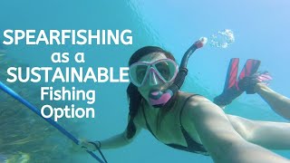 SPEARFISHING as a SUSTAINABLE Fishing Option