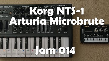 "They came, they went" - Saturday ambient soundscape | Jam #14 | Korg NTS-1, Arturia Microbrute