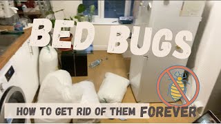 How to get rid of BED BUGS FOREVER | My experience dealing with them