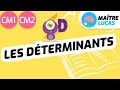 Les dterminants cm1  cm2  6e  cycle 3  franais  grammaire