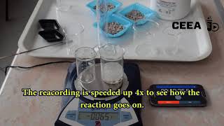 THE INFLUENCE OF THE GRANULATION ON THE REACTION RATE