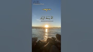 القارئ عبدالرحمن مسعد || @ShobatHuffadz