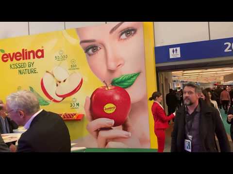 Targi Fruit Logistica 2020 Berlin#88 Komunikat sadowniczy Paweł Kazana