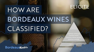 The Wine Classification Of Bordeaux